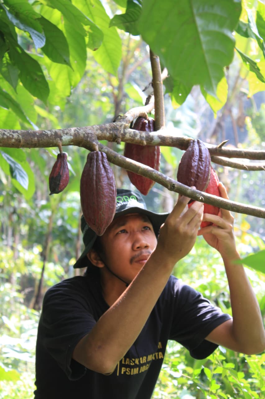 Prawira Tani — petani muda Dusun Tompak